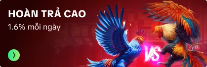 Hoàn trả cao