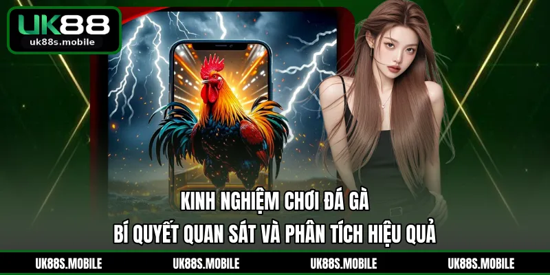 Kinh Nghiệm Chơi Đá Gà - Bí Quyết Quan Sát Và Phân Tích Hiệu Quả