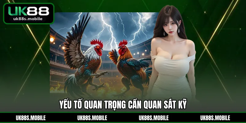 Yếu tố quan trọng cần quan sát kỹ